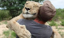 人与动物视频,人类视角下的情感与智慧