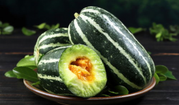 博洋91号甜瓜直播,探寻美味与种植奥秘的甜蜜之旅