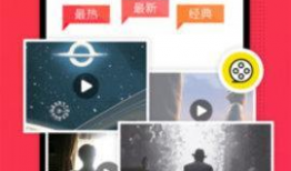 蕃茄视频,短视频时代的潮流引领者